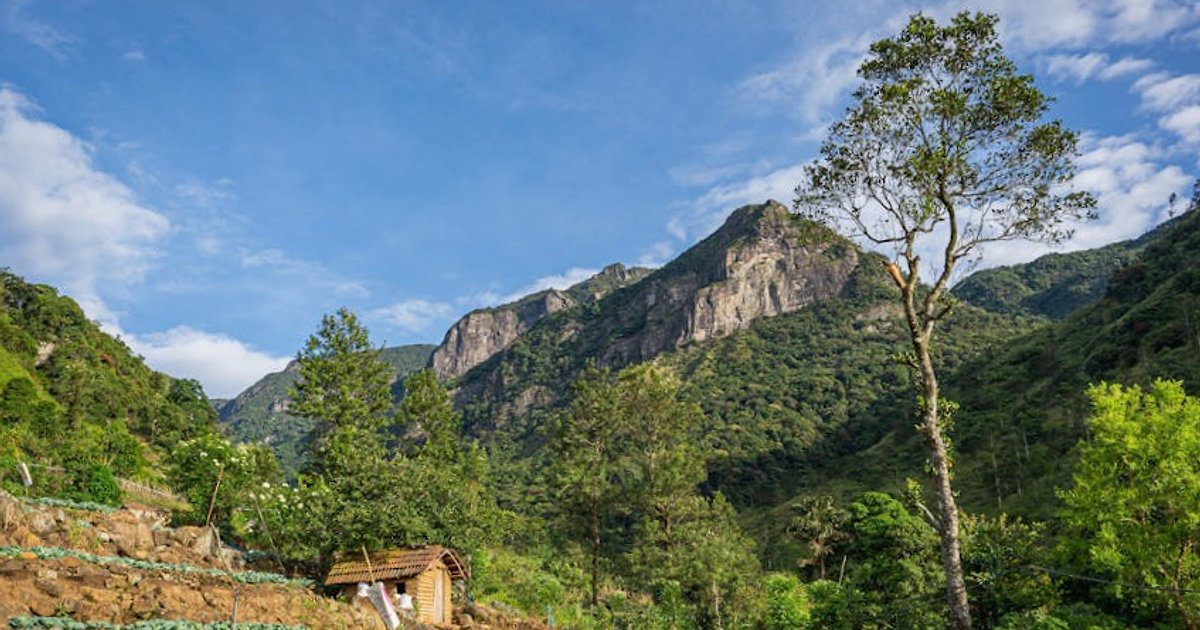 Slow travel in Sri Lanka: zo voelt het eiland in een lager tempo
